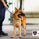 Why K9 Security Excels in Handling Tough Situations