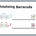 Unlocking Barracuda: Master the Art of Allow-Listing Like a Pro!