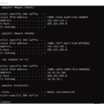 Must-Have Network Tools for Every Cybersecurity Pro