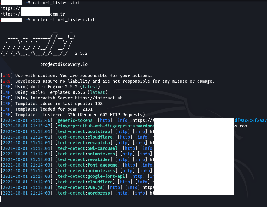 What is Nuclei? 8 nuclei 7